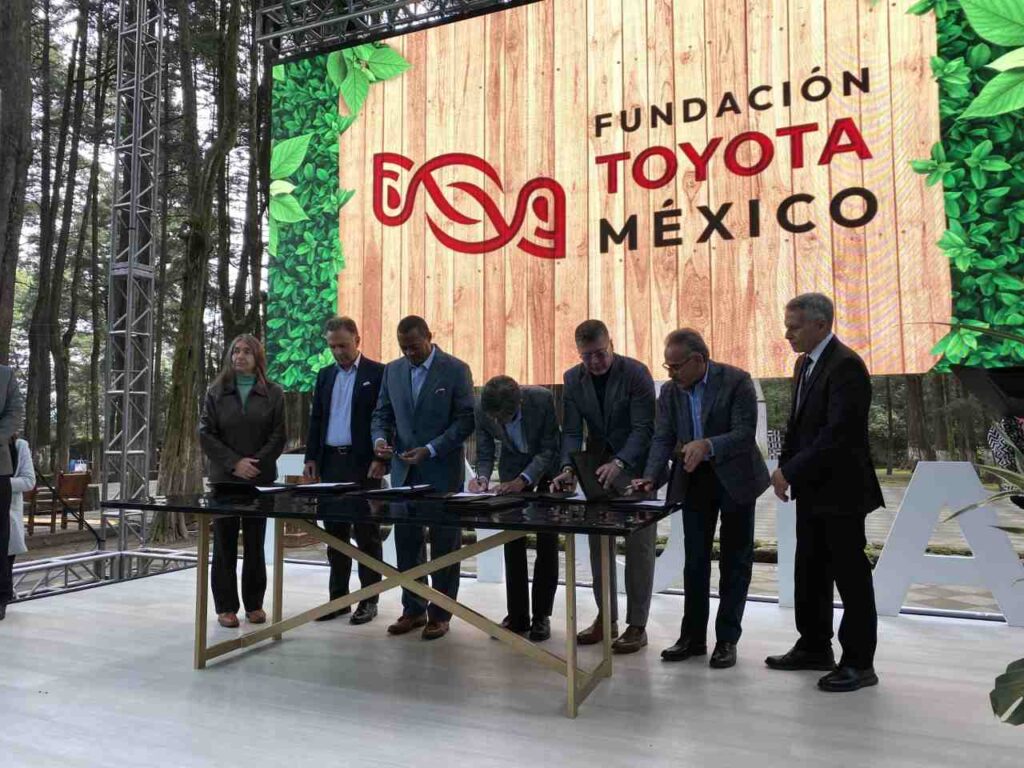 fundación Toyota México, nueva fundación, toyota, felinos mexicanos